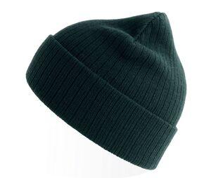 Atlantis AT208 - Recycled polyester beanie